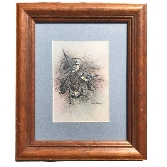 Ruane Manning Blue Tit Birds Framed Matted Print Wall Art - Picture 1 of 5